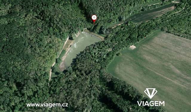 Prodej lesa 350 m², Žarošice, okres Hodonín