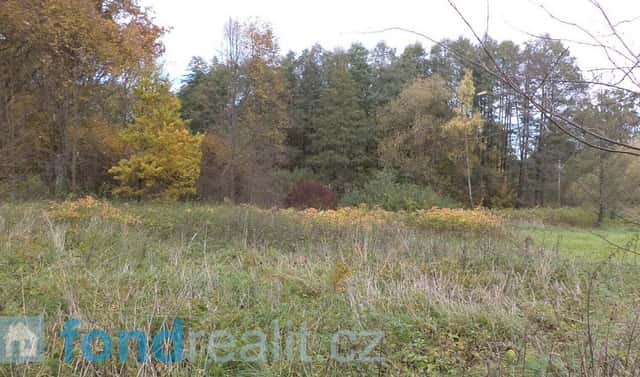 Prodej pozemku 29 835 m², Chlum u Třeboně, okres Jindřichův Hradec