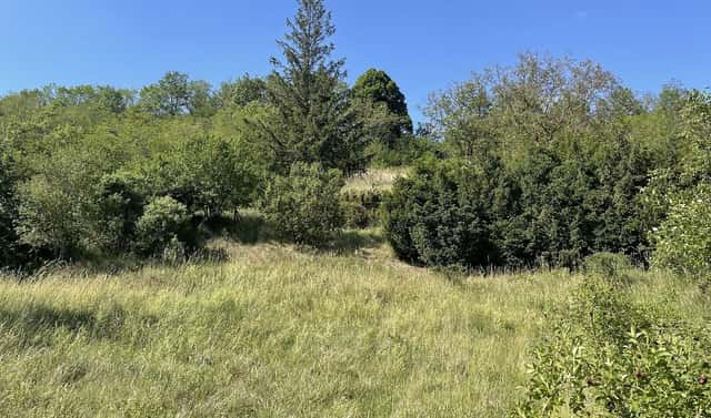 Prodej zahrady 2 559 m², Nová Ves, okres Mělník