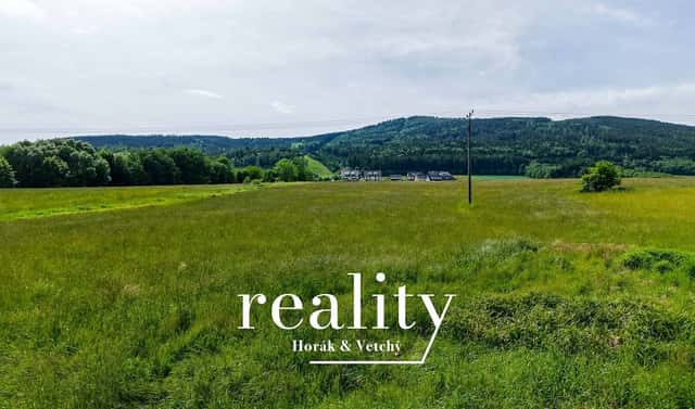 Prodej stavebního pozemku 3 948 m², Červená Voda – Mlýnický Dvůr, okres Ústí nad Orlicí