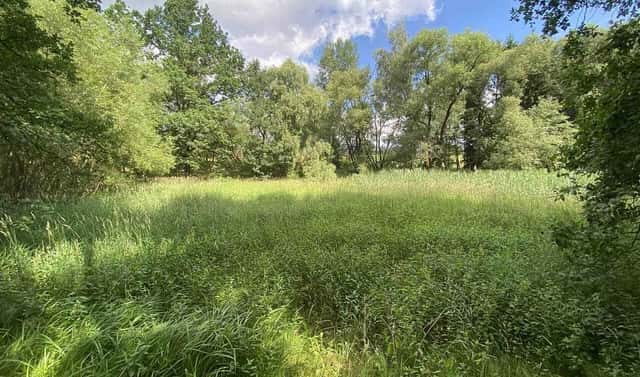 Prodej louky 4 246 m², Nové Hrady – Štiptoň, okres České Budějovice