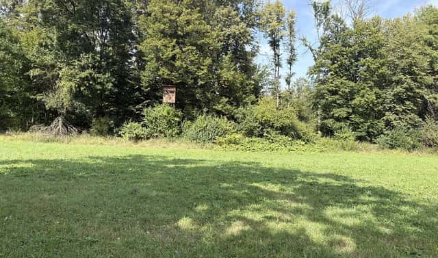 Prodej louky 2 145 m², Ostrava – Polanka nad Odrou, okres Ostrava-město