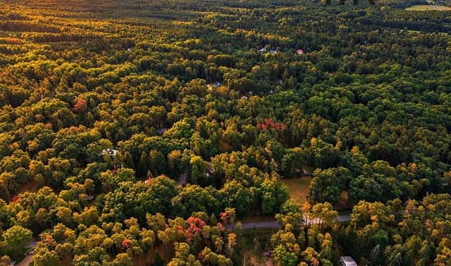 Prodej stavebního pozemku 4 383 m², Hradištko, okres Nymburk