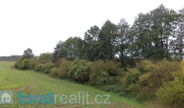 Prodej pozemku 3 639 m², Písečné, okres Jindřichův Hradec