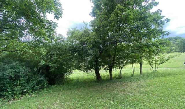 Prodej pozemku 343 m², Třebívlice – Skalice, okres Litoměřice