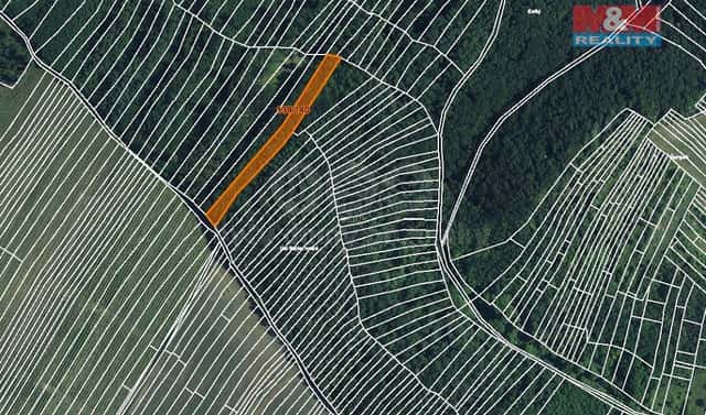 Prodej lesa 3 219 m², Horní Bojanovice, okres Břeclav