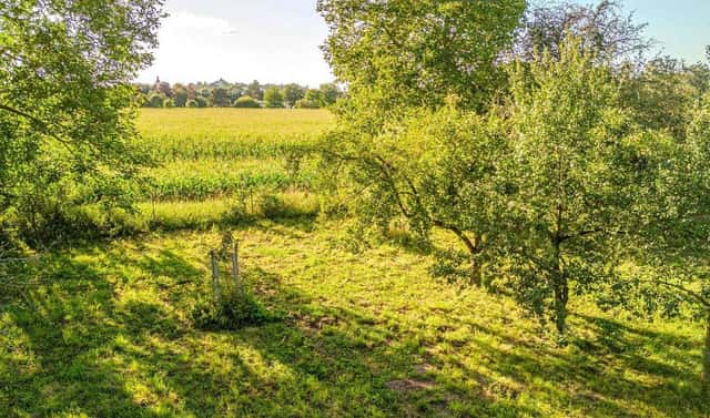 Prodej stavebního pozemku 1 408 m², Chlumec nad Cidlinou, okres Hradec Králové