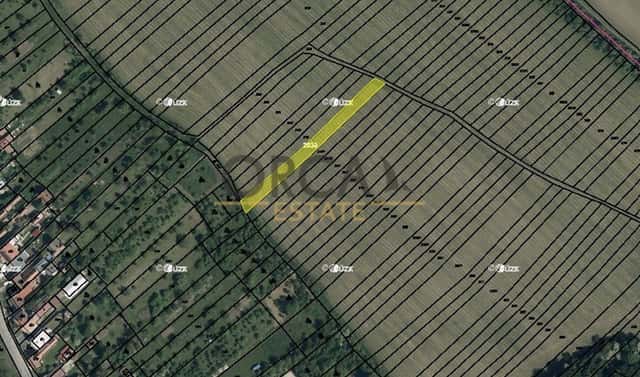 Prodej pole 1 222 m², Radějov, okres Hodonín