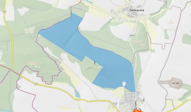 Prodej lesa 10 721 m², Trhový Štěpánov, okres Benešov