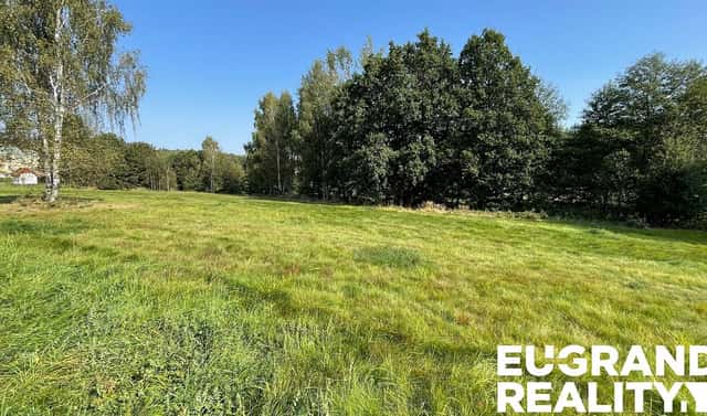 Prodej louky 14 798 m², Šluknov, okres Děčín