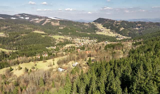 Prodej lesa 47 046 m², Bílá, okres Frýdek-Místek