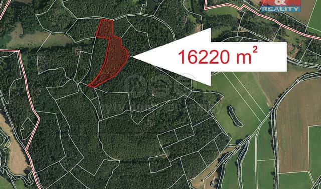 Prodej lesa 16 220 m², Petrovice – Mezihoří, okres Příbram