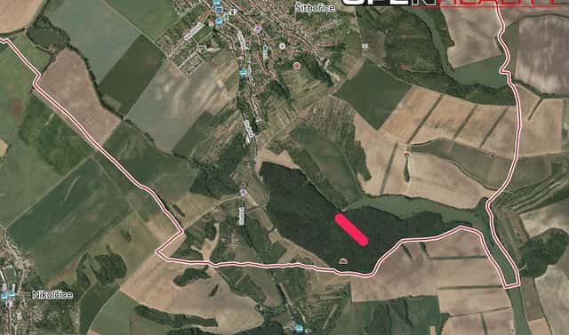 Prodej lesa 4 682 m², Divácká, Šitbořice, okres Břeclav