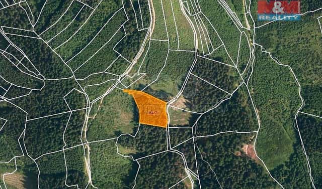 Prodej lesa 4 855 m², Lhota u Vsetína, okres Vsetín