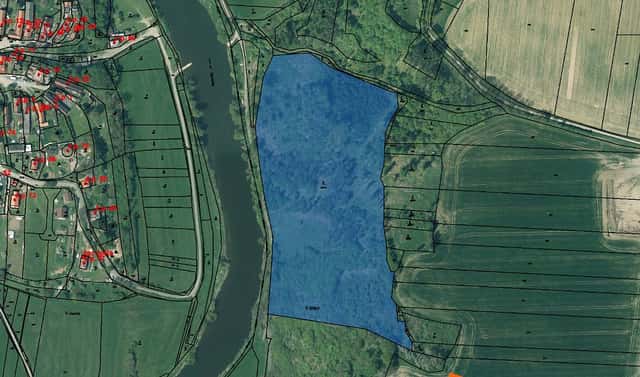 Prodej lesa 13 289 m², Břasy, okres Rokycany
