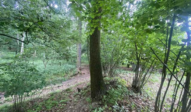 Prodej pozemku 576 m², Třebívlice – Skalice, okres Litoměřice