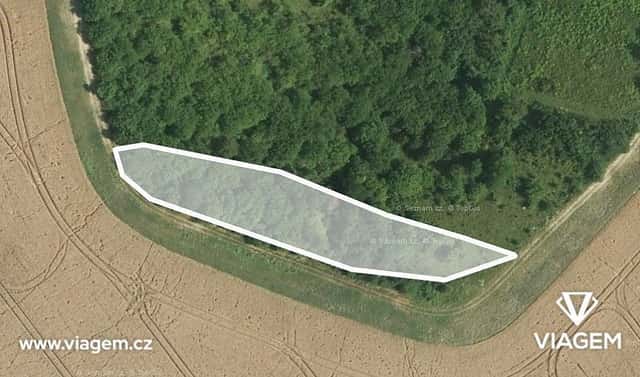 Prodej pole 1 611 m², Ždánice, okres Hodonín