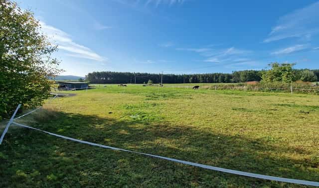 Prodej stavebního pozemku 3 632 m², Příbram