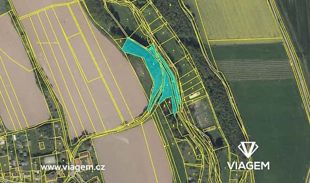 Prodej lesa 586 m², Velký Třebešov, okres Náchod