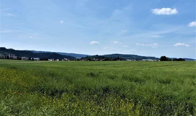 Prodej pole 7 225 m², Letovice, okres Blansko