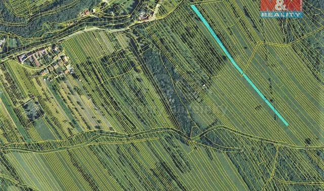 Prodej louky 3 447 m², Javorník, okres Hodonín