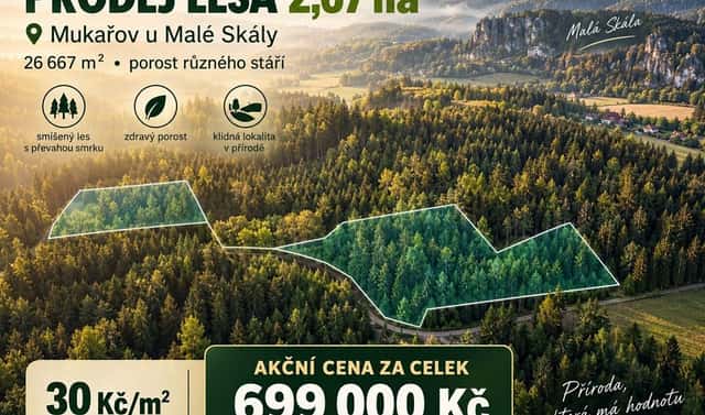 Prodej lesa 26 667 m², Malá Skála – Mukařov, okres Jablonec nad Nisou