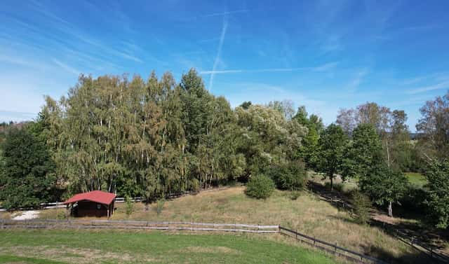 Prodej pozemku 1 427 m², Bor, okres Tachov