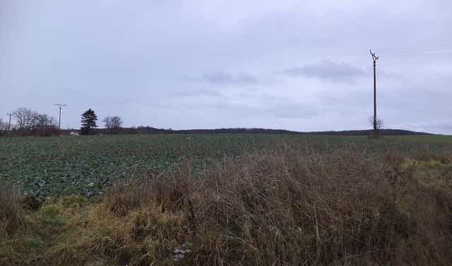 Prodej pozemku 6 867 m², Morkůvky, okres Břeclav
