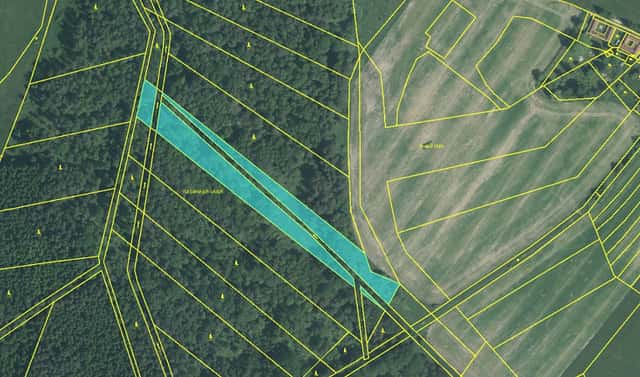 Prodej pozemku 9 041 m², Cep – Nemojany, okres Jindřichův Hradec