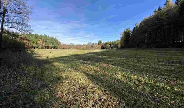 Prodej pole 10 862 m², Blatná, okres Strakonice
