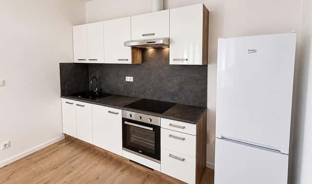 Pronájem bytu 2+kk 43 m², Františka Halase, Most
