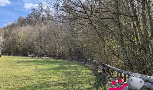 Prodej lesa 3 109 m², Luhačovice, okres Zlín