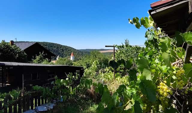 Prodej stavebního pozemku 1 017 m², Křivoklát, okres Rakovník