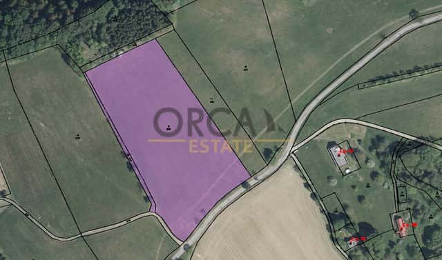 Prodej pozemku 18 135 m², Liberk, okres Rychnov nad Kněžnou