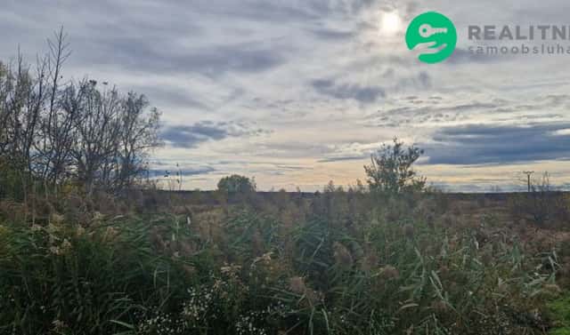Prodej pole 2 371 m², Dubňany, okres Hodonín
