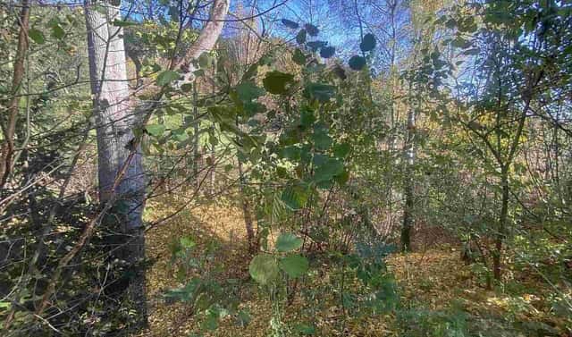 Prodej pozemku 449 m², Lučany nad Nisou – Jindřichov, okres Jablonec nad Nisou