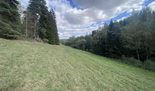 Prodej pole 1 114 m², Bezvěrov – Žernovník, okres Plzeň-sever