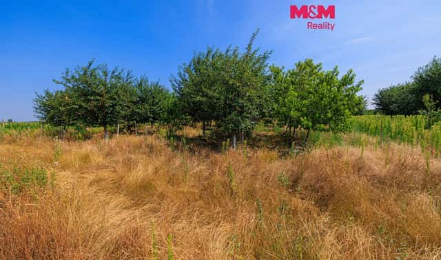 Prodej pole 21 280 m², Rakvice, okres Břeclav