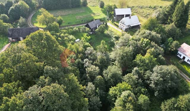 Prodej stavebního pozemku 2 978 m², Písečná – Studený Zejf, okres Jeseník