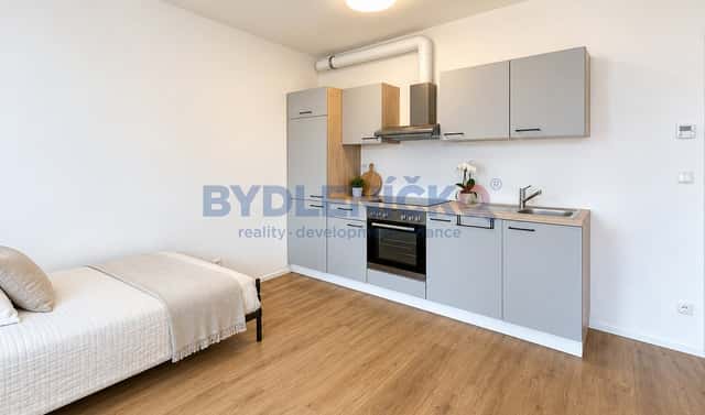 Prodej bytu 1+kk 38 m², Nová, České Budějovice – České Budějovice 3