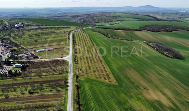Prodej pole 24 643 m², Horní Bojanovice, okres Břeclav