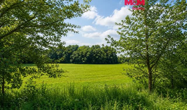 Prodej louky 4 863 m², Petrovice – Žemličkova Lhota, okres Příbram