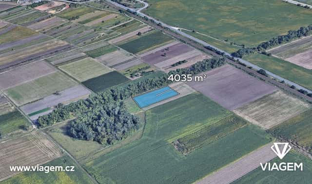 Prodej pole 4 035 m², Podivín, okres Břeclav