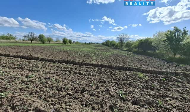 Prodej pole 3 033 m², Pasohlávky, okres Brno-venkov