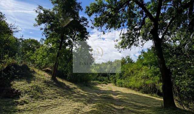 Prodej stavebního pozemku 1 591 m², Podbořany, okres Louny