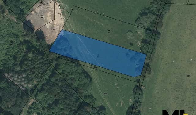 Prodej louky 4 236 m², Mladá Vožice, okres Tábor