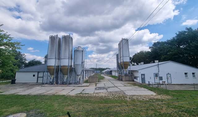Prodej skladovacích prostor 15 000 m², Velký Borek, okres Mělník