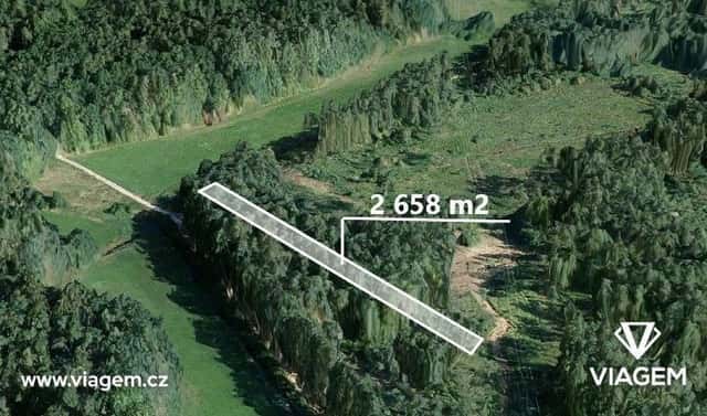 Prodej lesa 664 m², Třeboň, okres Jindřichův Hradec