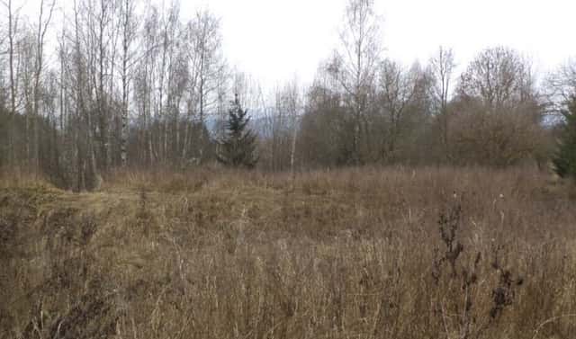 Prodej pozemku 1 390 m², Horní Planá, okres Český Krumlov