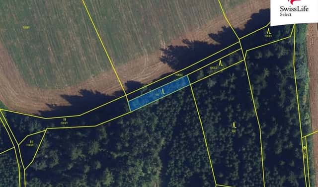 Prodej louky 84 715 m², Trpín, okres Svitavy